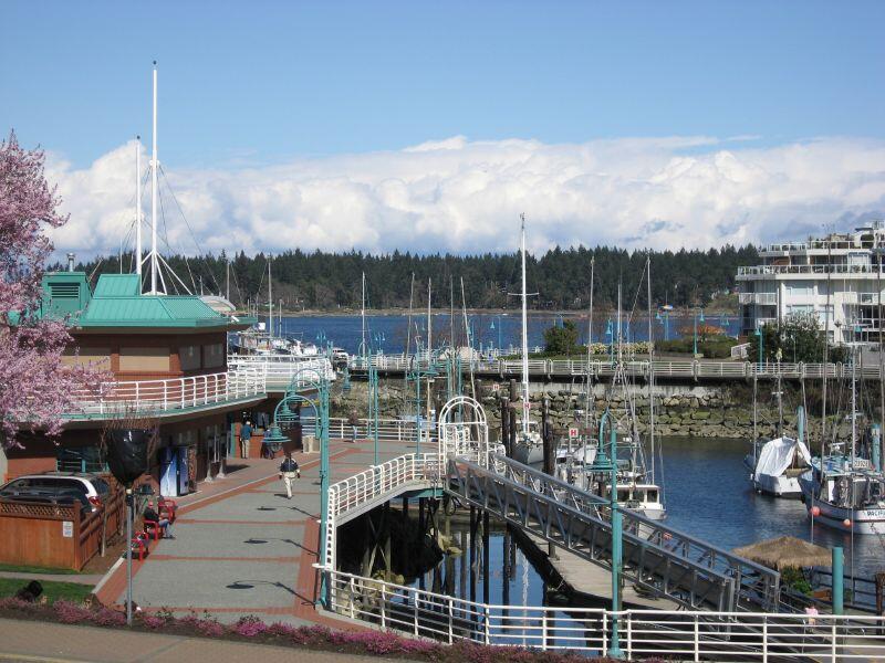 nanaimo