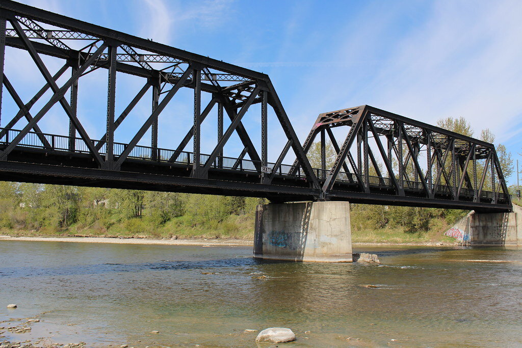 reddeer